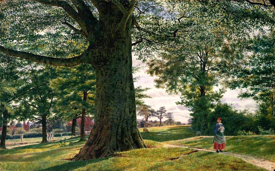 George Price Boyce (1826-1897) - A Girl by a Beech Tree in a Landscape - T01587 - Tate