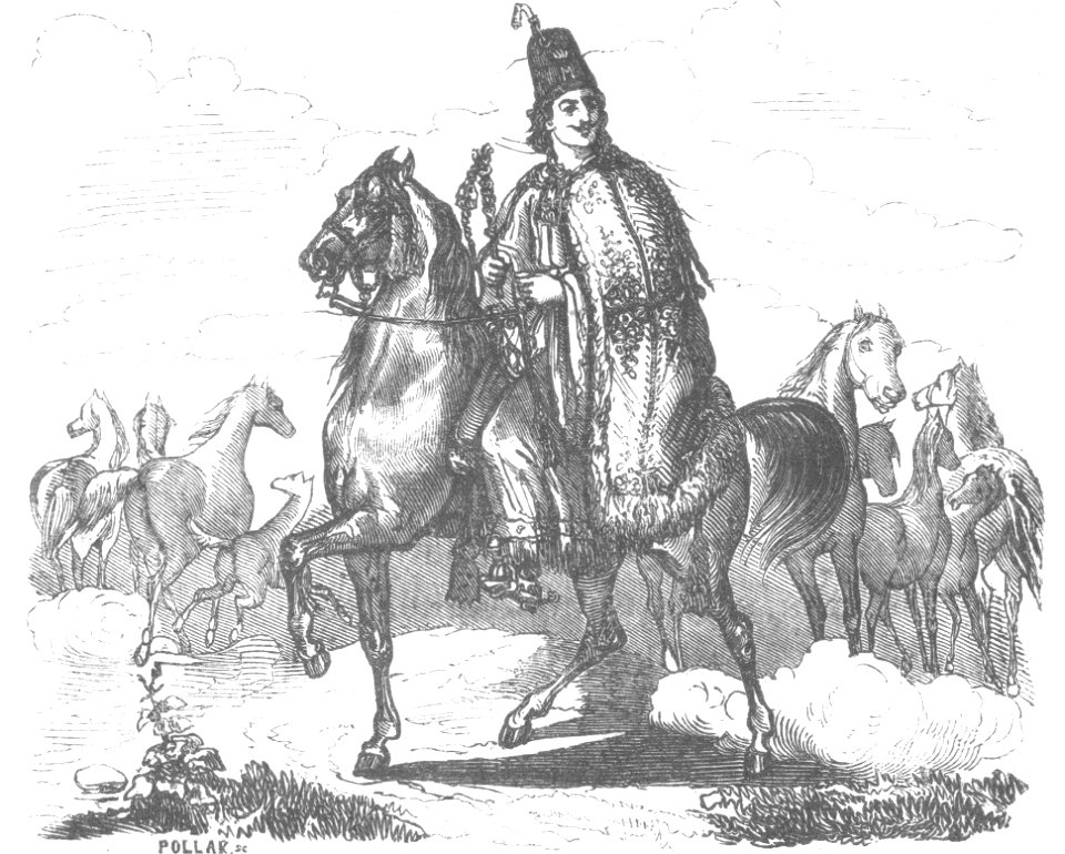 Gaal (József) - Rontó Pál élete és viszontagságai Hackenast Gusztáv, Pest, 1857 (4)
