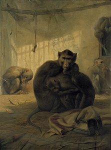 G.J. van Soeren - Apen in een kooi, genaamd Heimwee - B564 - Cultural Heritage Agency of the Netherlands Art Collection