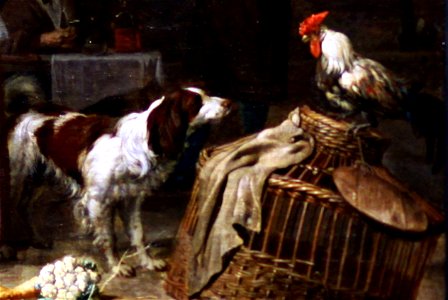 Gabriel Metsu - Le marché aux herbes (detail dog and rooster)