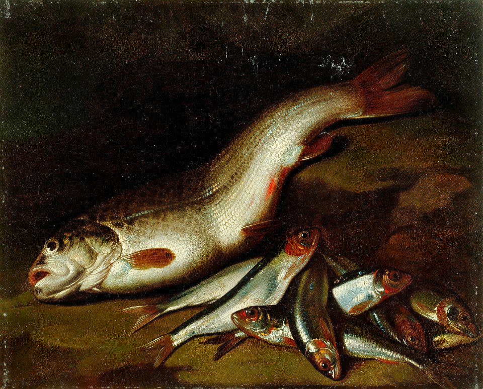 Gaetano Cusati - Ribe