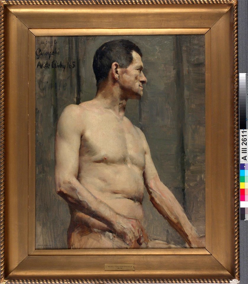 Akseli Gallen-Kallela - Alaston miesmalli - A III 2611 - Finnish National Gallery