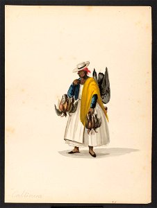 Gallinera
