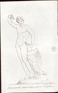 Ganimede. Statua Antica nell' J. e R. Galleria, objectnr A 59370