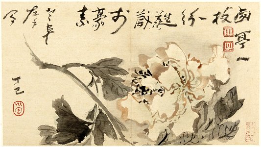 Gao Fenghan 高鳳翰 - Flowers and Calligraphy (Hua niao za hua ce 花鳥雜畫冊) - y1977-15 e - Princeton University Art Museum