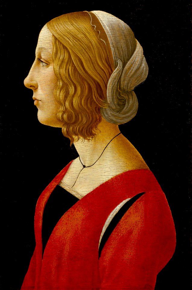 Raffaellino del Garbo - Bust of a Young Woman - 44.554 - Museum of Fine Arts