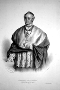 Ganglbauer