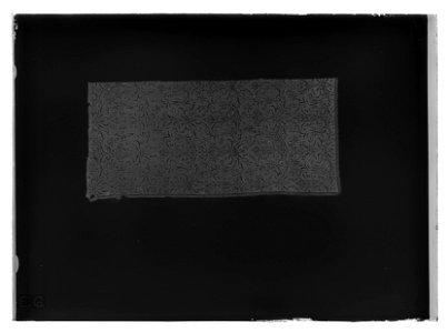 Gardin ur en serie av sex (6006-6011) till drottning Kristinas röda kaross med motiv av lejon och örnar - Livrustkammaren - 51997-negative