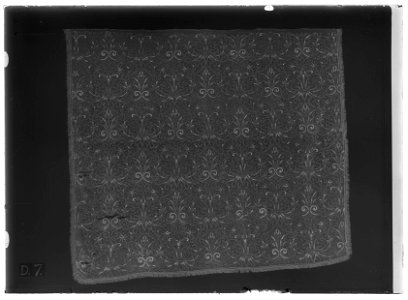 Gardin ur en serie av sex (6012-6017) till Karl X Gustavs blå kaross, 1650, Paris - Livrustkammaren - 77687-negative