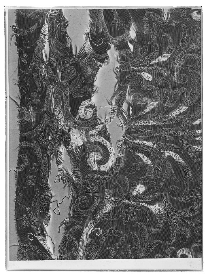 Gardin, blå karossen - Livrustkammaren - 17258-negative