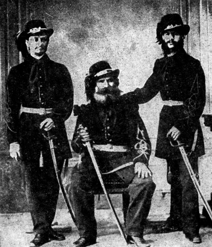 Garda Oraseneasca in 1866 BAR ILR 493