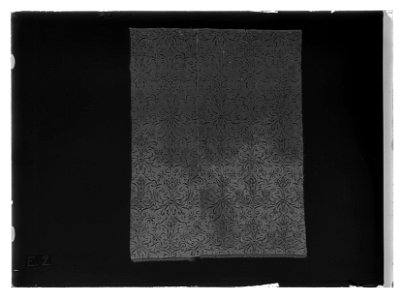 Gardin ur en serie av sex (6006-6011) till drottning Kristinas röda kaross med motiv av lejon och örnar - Livrustkammaren - 635-negative