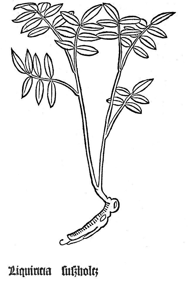 Gart Liquiricia