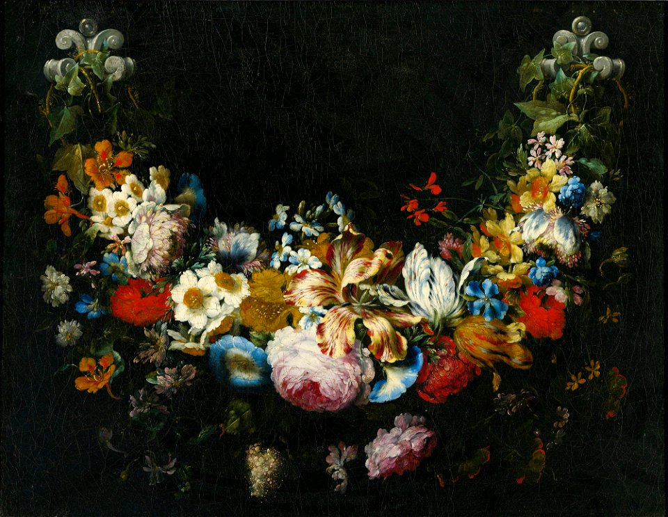 Gaspar Peeter Verbruggen (II) - A swag of flowers