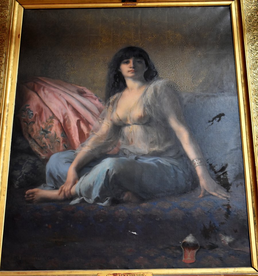 Gaston Casimir Saint-Pierre - La Sultana 02