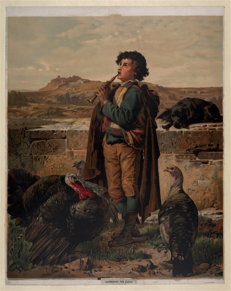 Gathering the flock - original by F. Steinmann. LCCN2012648817
