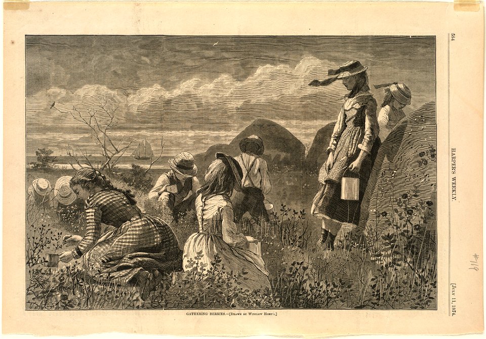 Gathering berries (Boston Public Library)