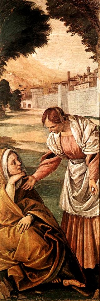 Gaudenzio Ferrari - St Anne Consoled by a Woman - WGA07823