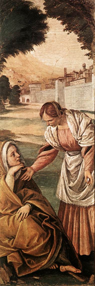 Gaudenzio Ferrari, St Anne Consoled by a Woman