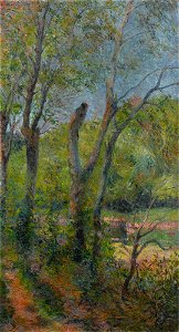 Gauguin Les Saules