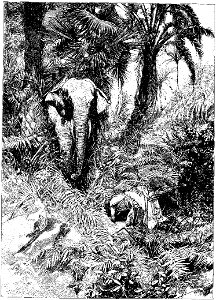 Gautier - Mémoires d'un Éléphant blanc, Armand Colin et Cie, 1894 (page 22 crop)
