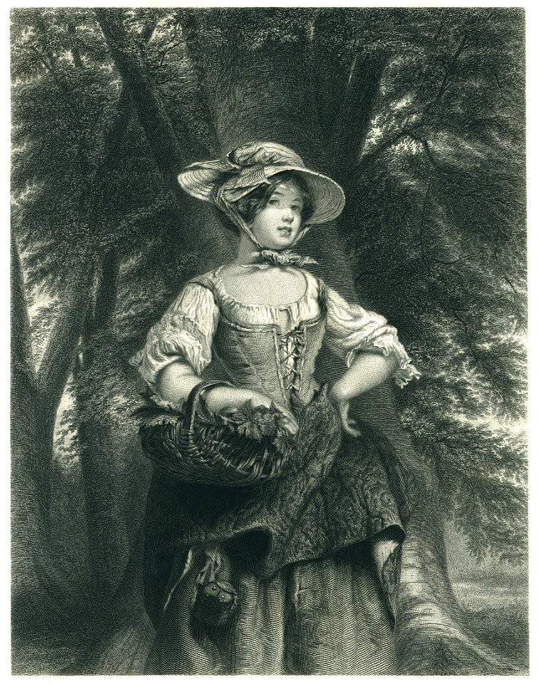 Gavin - Phoebe Mayflower - Steel Engraving