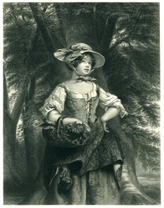 Gavin - Phoebe Mayflower - Steel Engraving
