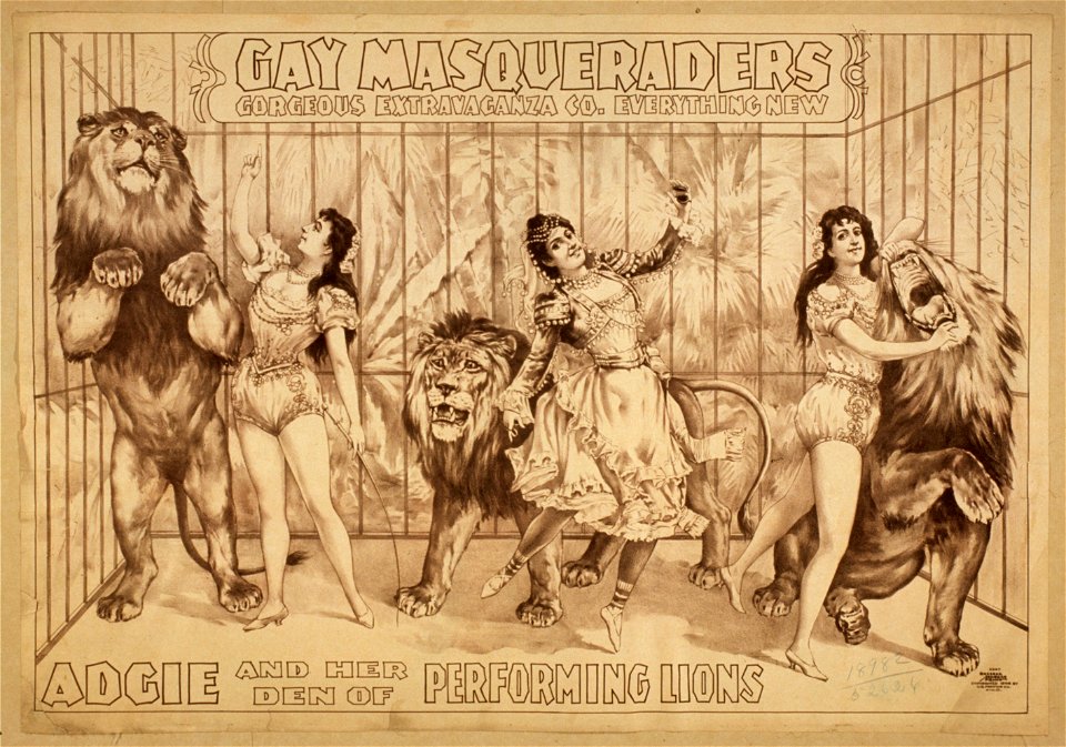 Gay Masqueraders Gorgeous Extravaganza Co. everything new. LCCN2014635878