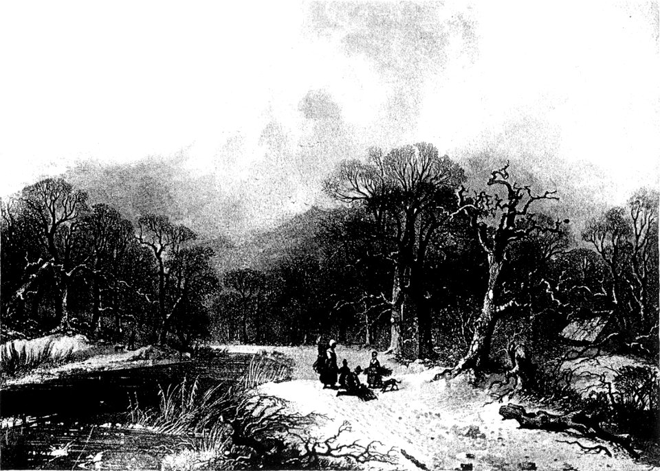 Geille - Bosco con nevicata