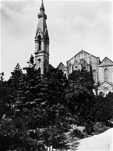 Gebrüder Alinari - Glockenturm und Abside von Santa Croce (Zeno Fotografie)