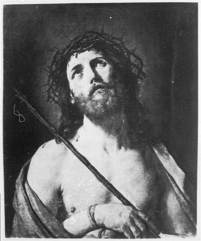 Gemäldegalerie Alte Meister (Dresden) Galeriewerk Braun 0543