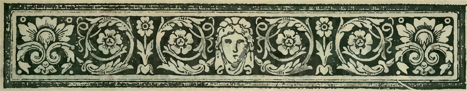 Gemma Giovannini - Le donne di casa Savoia (page 505 crop)