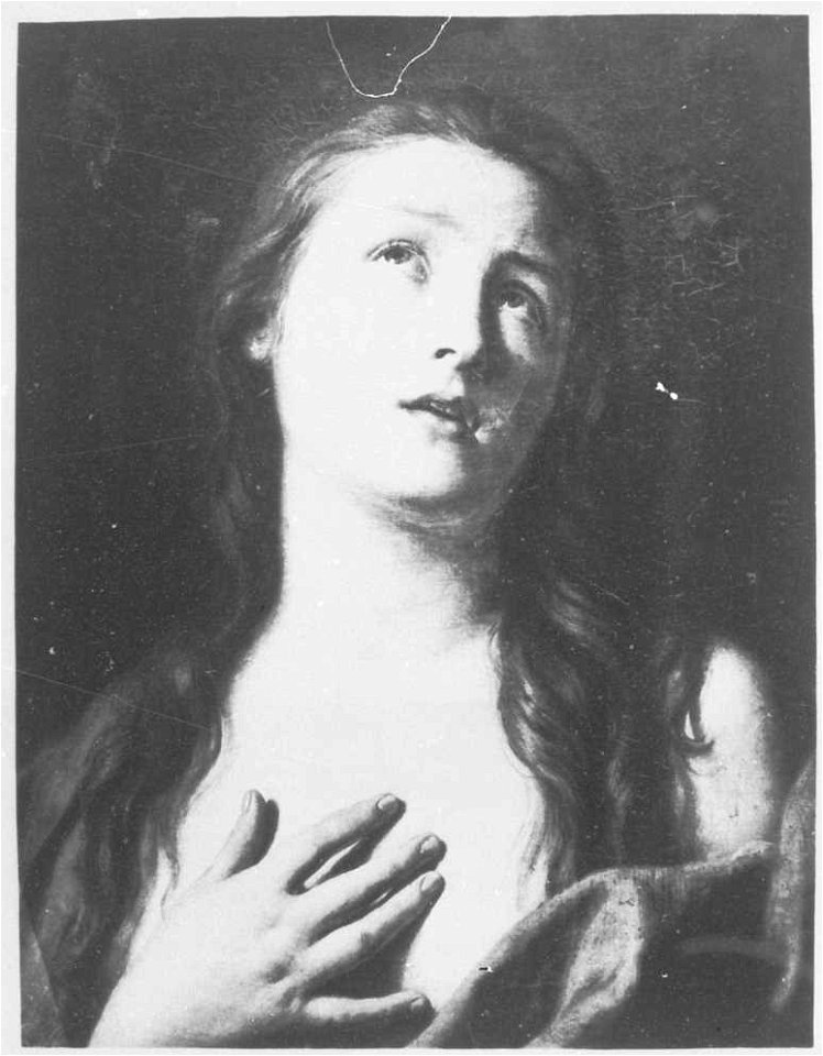 Gemäldegalerie Alte Meister (Dresden) Galeriewerk Braun 0446