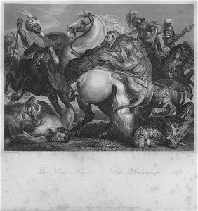 Gemäldegalerie Alte Meister (Dresden) Galeriewerk Payne 045