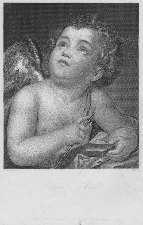 Gemäldegalerie Alte Meister (Dresden) Galeriewerk Payne 088