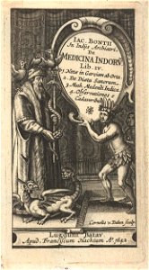 Geneesheer met staf omwikkeld door slang en granaatappel, vogels en draak, een Indiaan draagt cartouche met titel