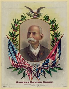 General Maximo Gomez LCCN2003674842