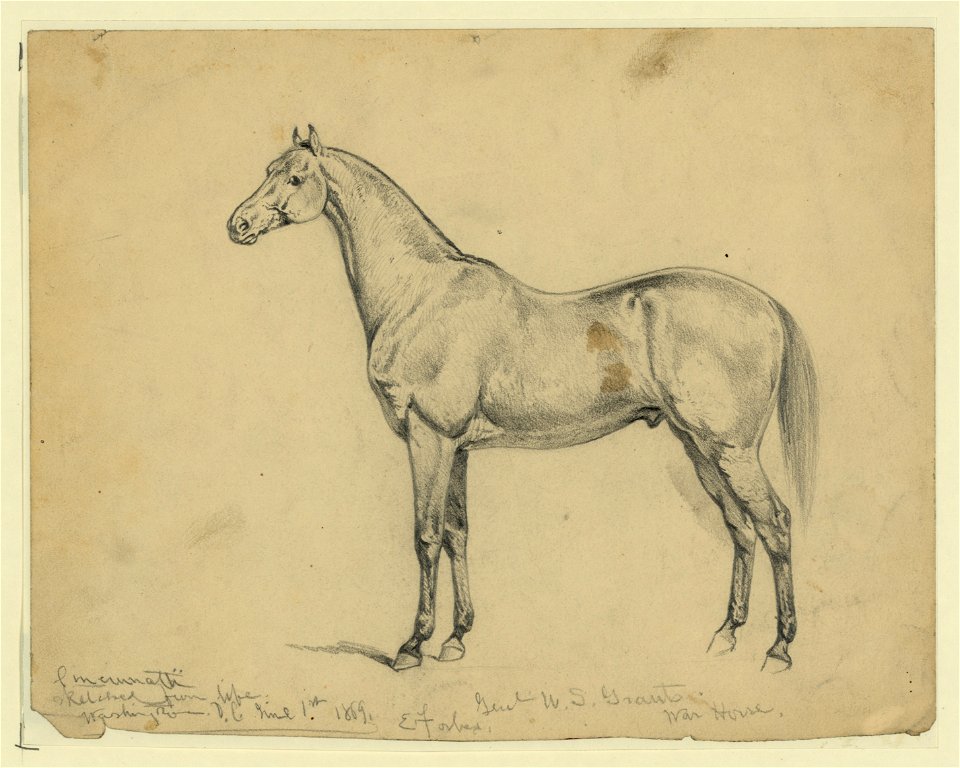 General U.S. Grant's war horse LCCN2004661480