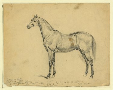 General U.S. Grant's war horse LCCN2004661480