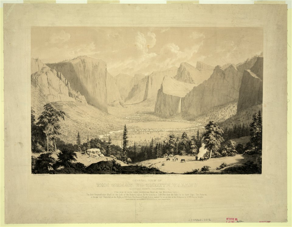 General view of the great Yo-semite Valley LCCN2003673026