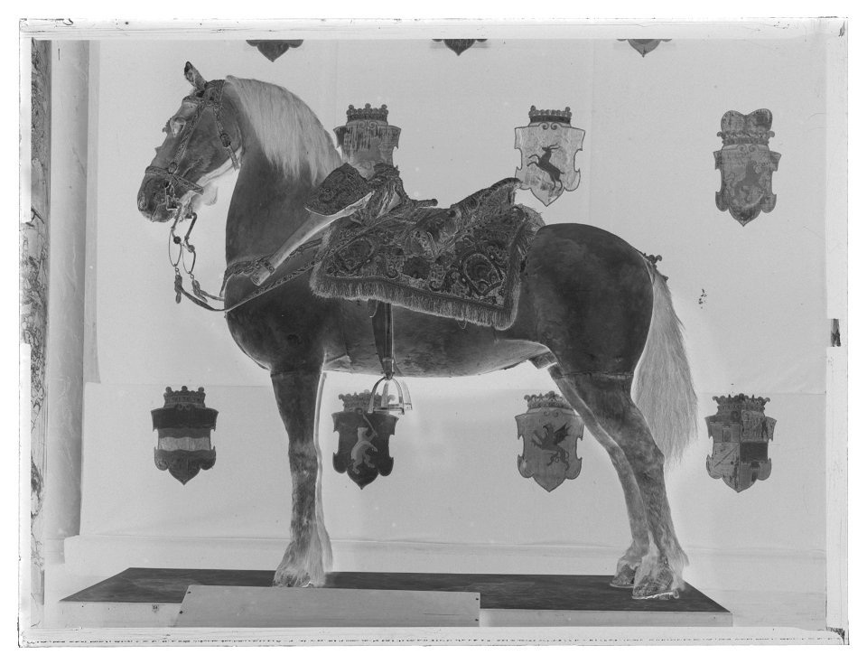 Gustav II Adolfs häst från slaget vid Lützen 1632-11-06, kallad Streiff - Livrustkammaren - 11288-negative