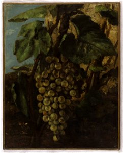 Gustave Courbet - Grappe de raisins - PPP574 - Musée des Beaux-Arts de la ville de Paris