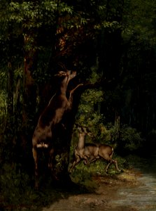 Gustave Courbet - Deer in the Forest - Google Art Project. Free illustration for personal and commercial use.