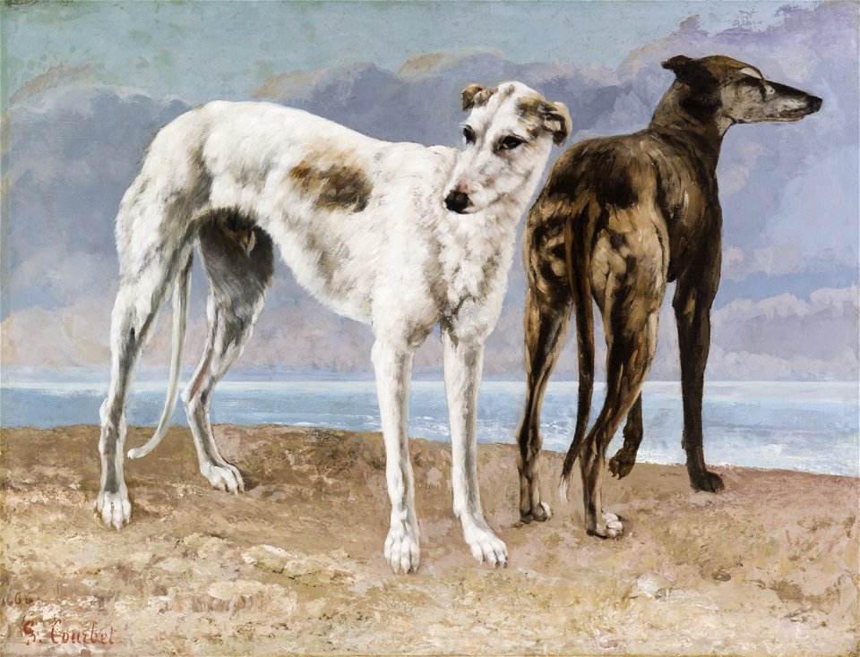 Gustave Courbet - The Greyhounds of the Comte de Choiseul - 168-1953 - Saint Louis Art Museum