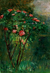 Gustave Caillebotte Le rosier fleuri