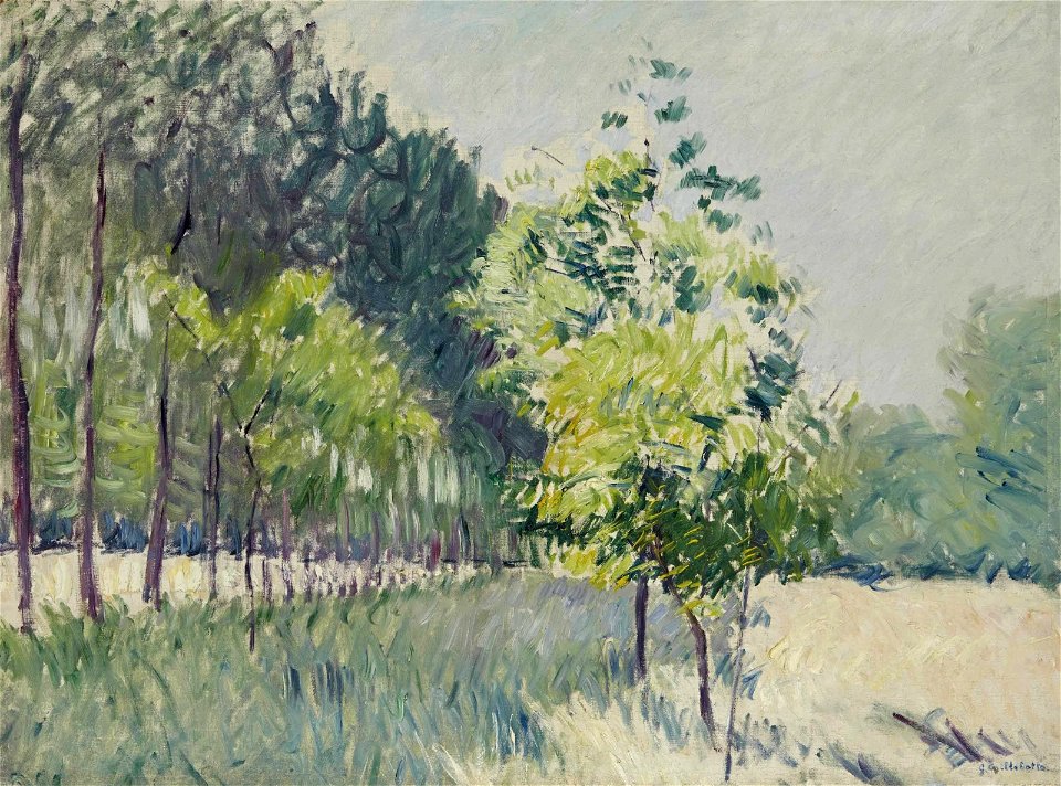 Gustave Caillebotte - Allée bordée d'arbres