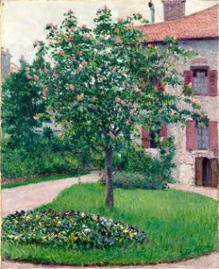 Gustave Caillebotte - Le pommier fleuri (arbre en fleurs)