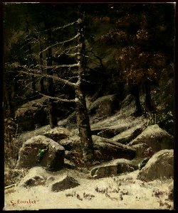 Gustave Courbet - Wooded Hillside in Winter - 24.454 - Museum of Fine Arts