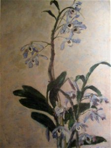 Gustave Caillebotte Orchidées 1893. Free illustration for personal and commercial use.