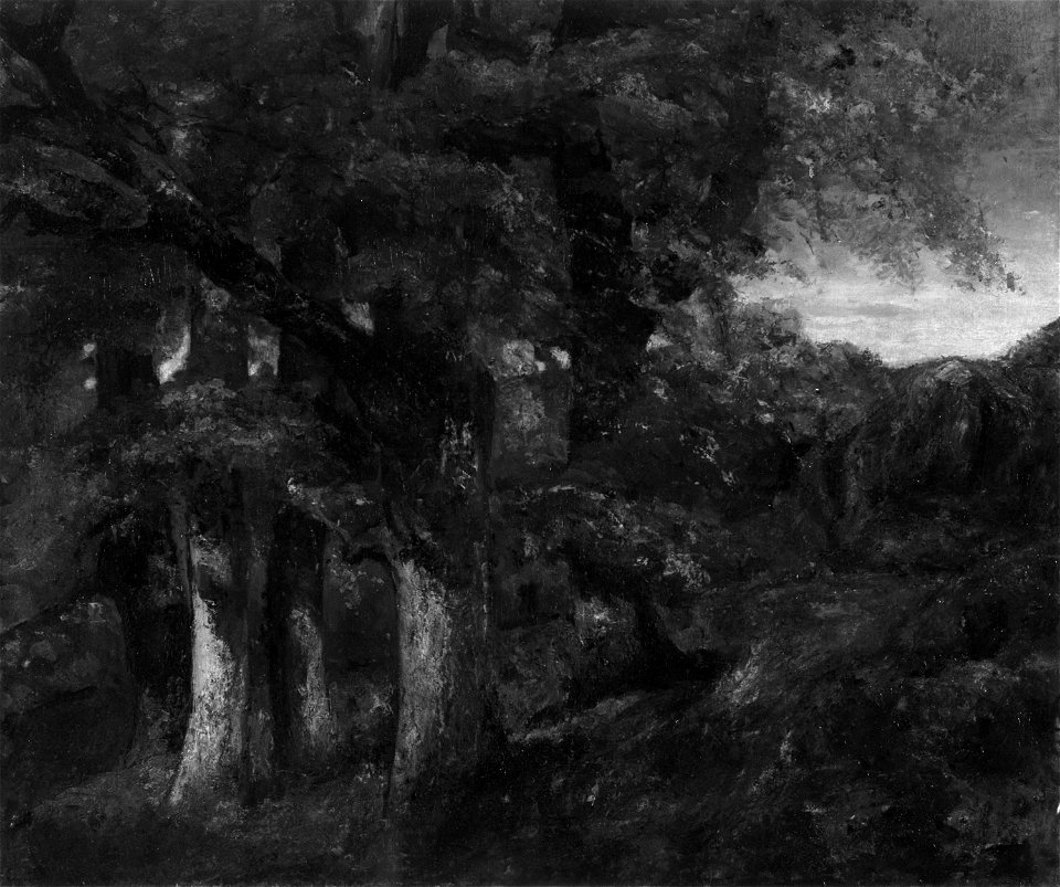 Gustave Courbet - Wooded Landscape - 1968.306 - Art Institute of Chicago